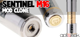 sentinel-m16-mod-clone-gotsmok